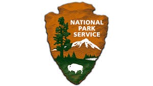 NPS