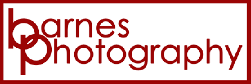 barnesphoto
